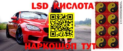 прущие грибы Новокубанск