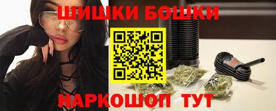 СК Новозыбков
