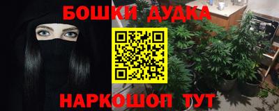 прущие грибы Новокубанск