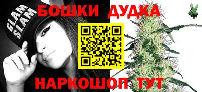 СК Новозыбков
