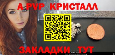 СК Новозыбков