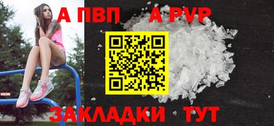 СК Новозыбков