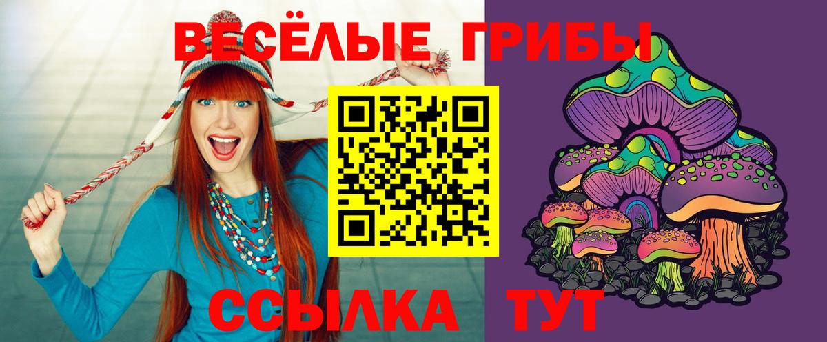 Галлюциногенные грибы GOLDEN TEACHER  Вход с VPN  Ставрополь 