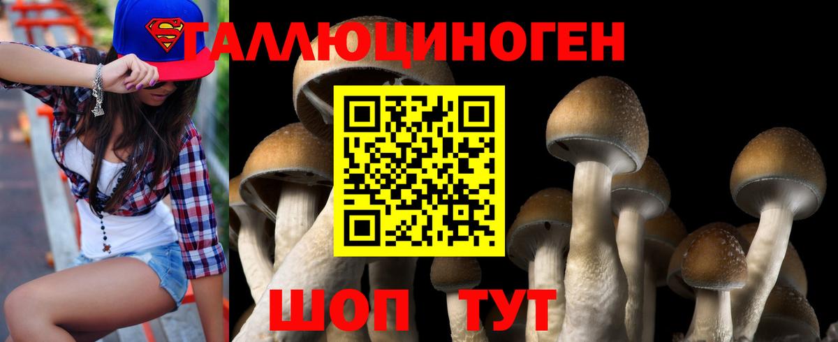 Галлюциногенные грибы Magic Shrooms Ставрополь